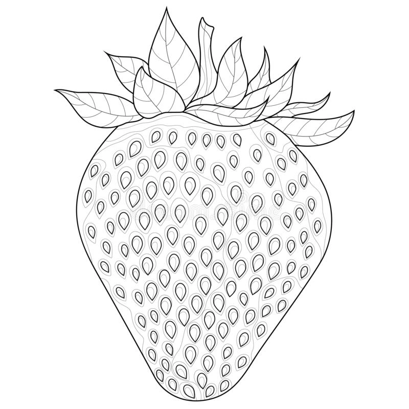 Kolorowanka antystresowa truskawka